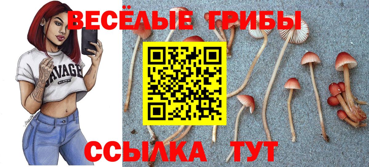 Псилоцибиновые грибы ЛСД Сланцы